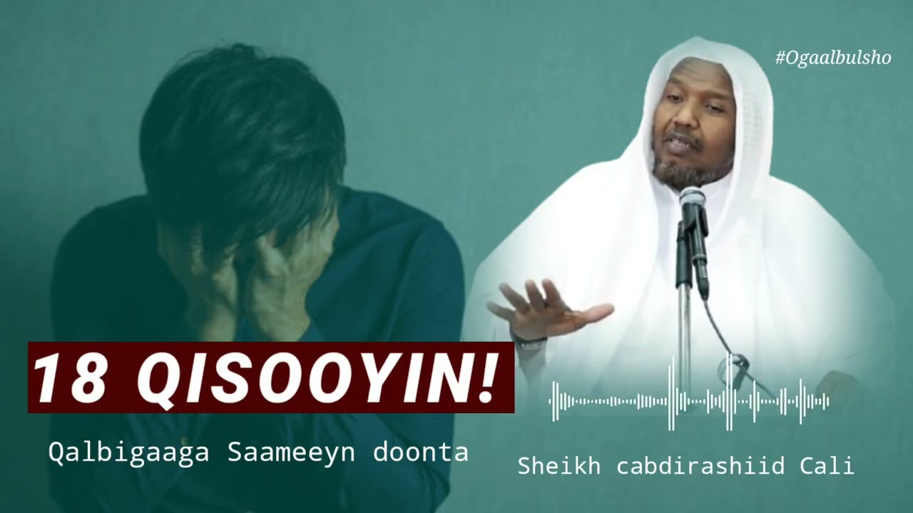 18 QISOOYIN Qalbigaaga Saameyn Doona || Sheekh Cabdirashiid Cali Suufi @OGAALBULSHO #qisooyin