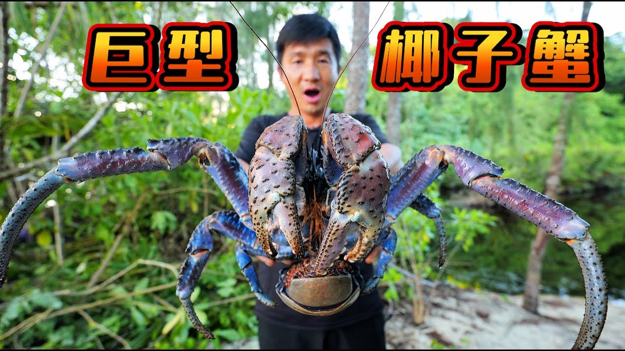 《所罗门群岛》第4集：28小时荒野挑战，满山遍野布陷阱，只为捕获巨型椰子蟹   #荒岛探索 #潜水 #赶海 #椰子蟹  #抓龙虾 #荒野挑战 #抓螃蟹 #ocean #underwaterfinds