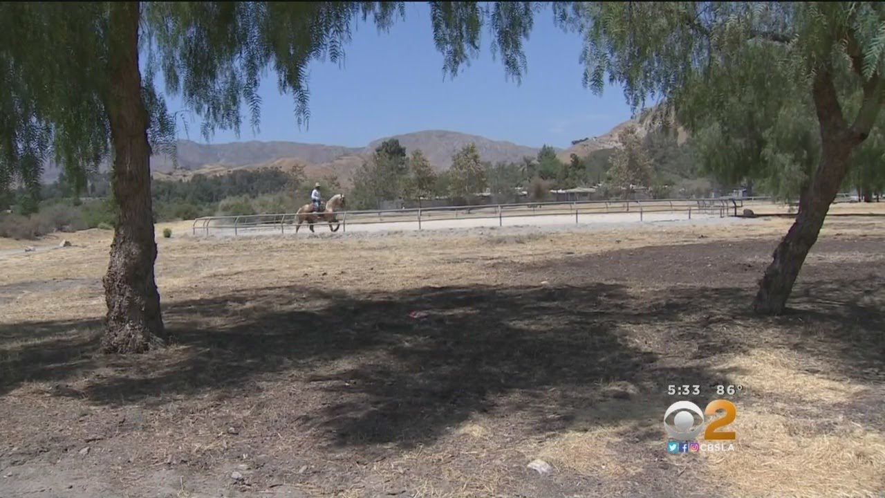 Girl Dies, Sister In Critical Condition After Tragic Horse Accident