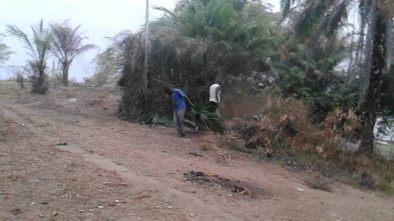 OKOUYI WI GALWA