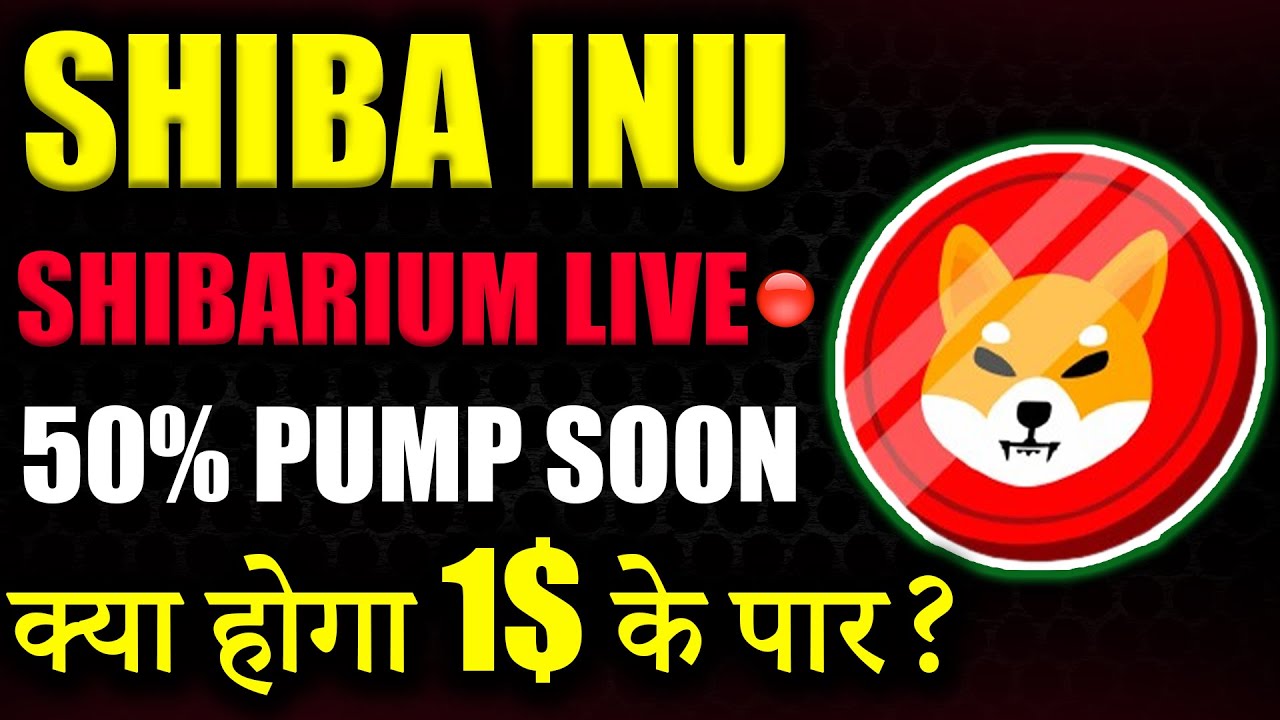 Shiba inu का Shibarium Live🔴 अब आएगा मज़ा 😱| shiba inu coin news today | crypto news| cryptocurrency