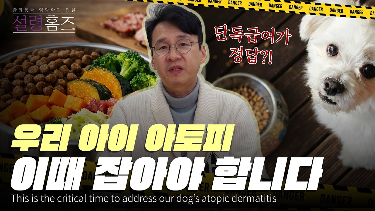식이 알레르기 잡으려면 단독 급여가 정답? 아토피는 이때 잡아야 합니다 [반려동물 영양학의 진실🕵설령 홈즈🔍 Ep.19 식이 알레르기]