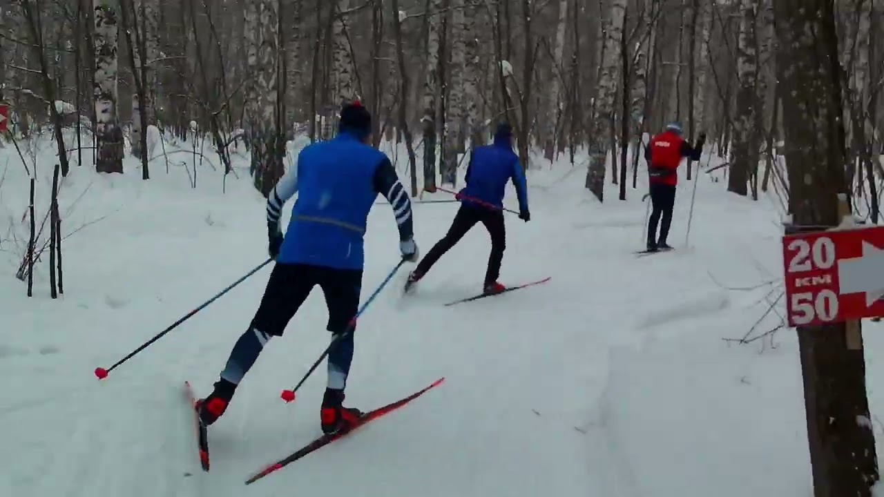 Лыжная тренировка в группе , 2 чпсть