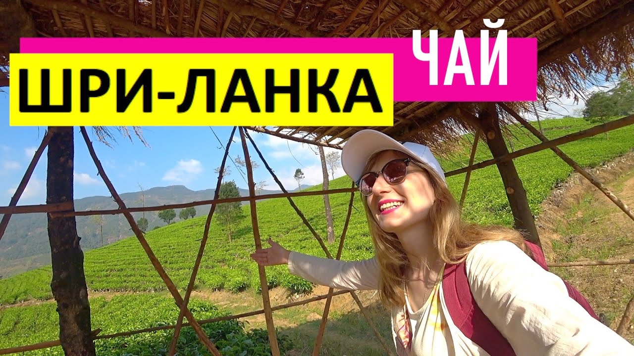 Чай в Шри-Ланке. Обошла гигантскую чайную плантацию и нашла деревню