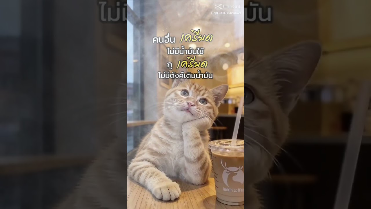 กำลังใจ คนสู้ชีวิต[ social media official]tune8899 sakxai#music #remix #song #บันเทิง 