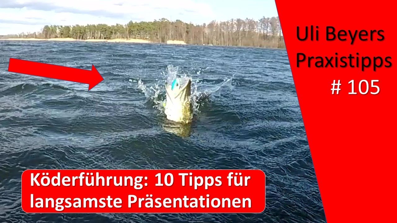 Köderführung Hecht: 10 Tipps für langsame Präsentationen