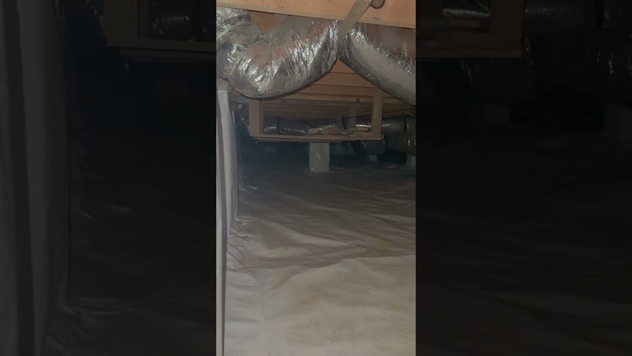 ACE your Crawlspace with our team! Call(704) 951-4643 NOW for your FREE inspection.