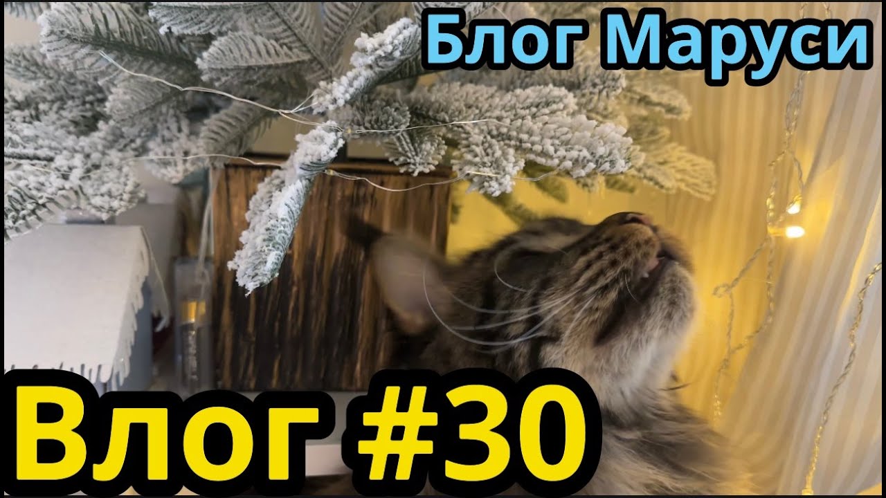 Семья съезжается к Новому году | Новогодний ВДНХ | БЛОГ МАРУСИ