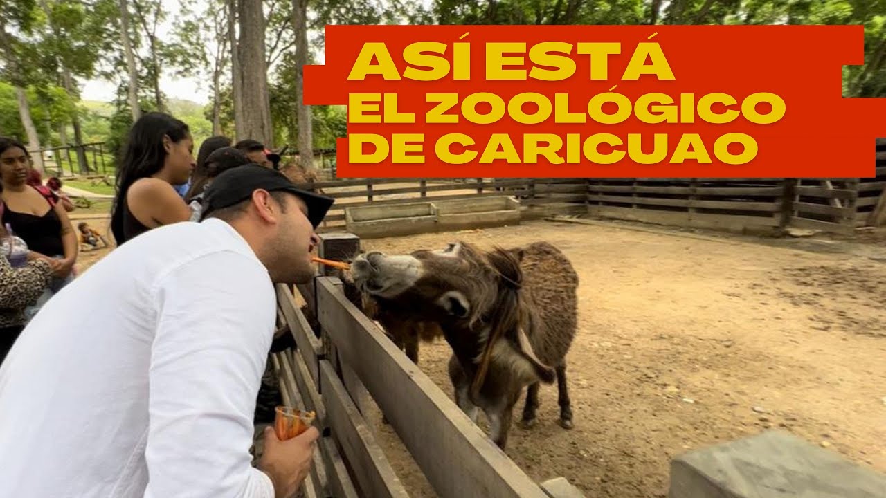 Así está el Zoológico de Caricuao 2022