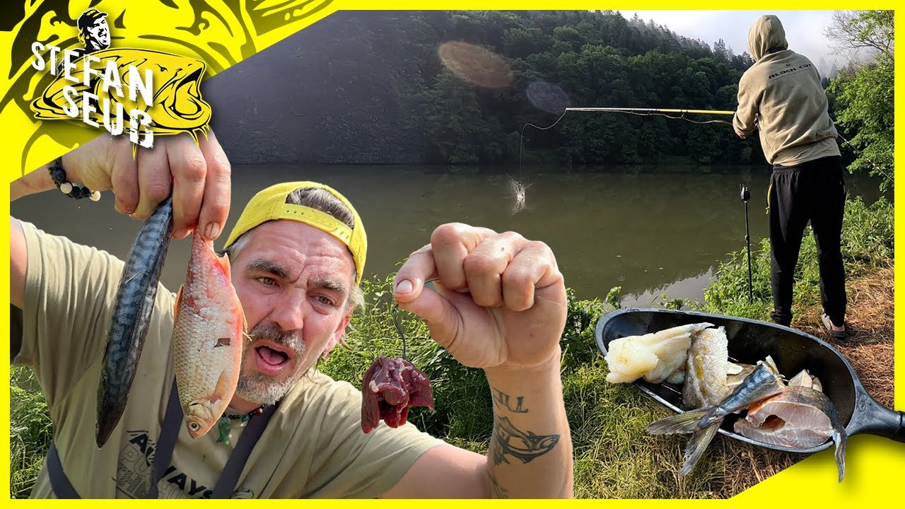 STINKT und FÄNGT vom Klappstuhl | Angeln mit Leber und Fischfetzen
