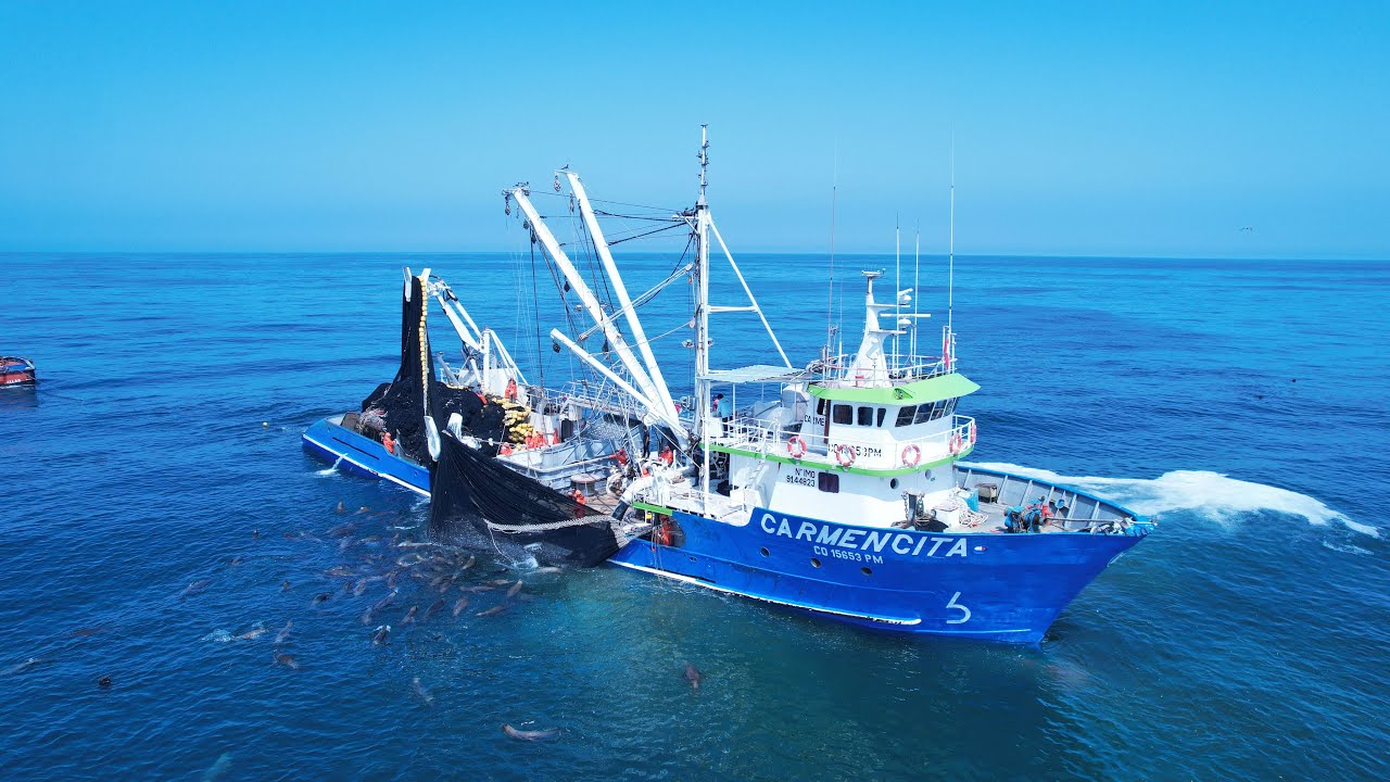Pesca Industrial de anchoveta en Peru - CHI2022I