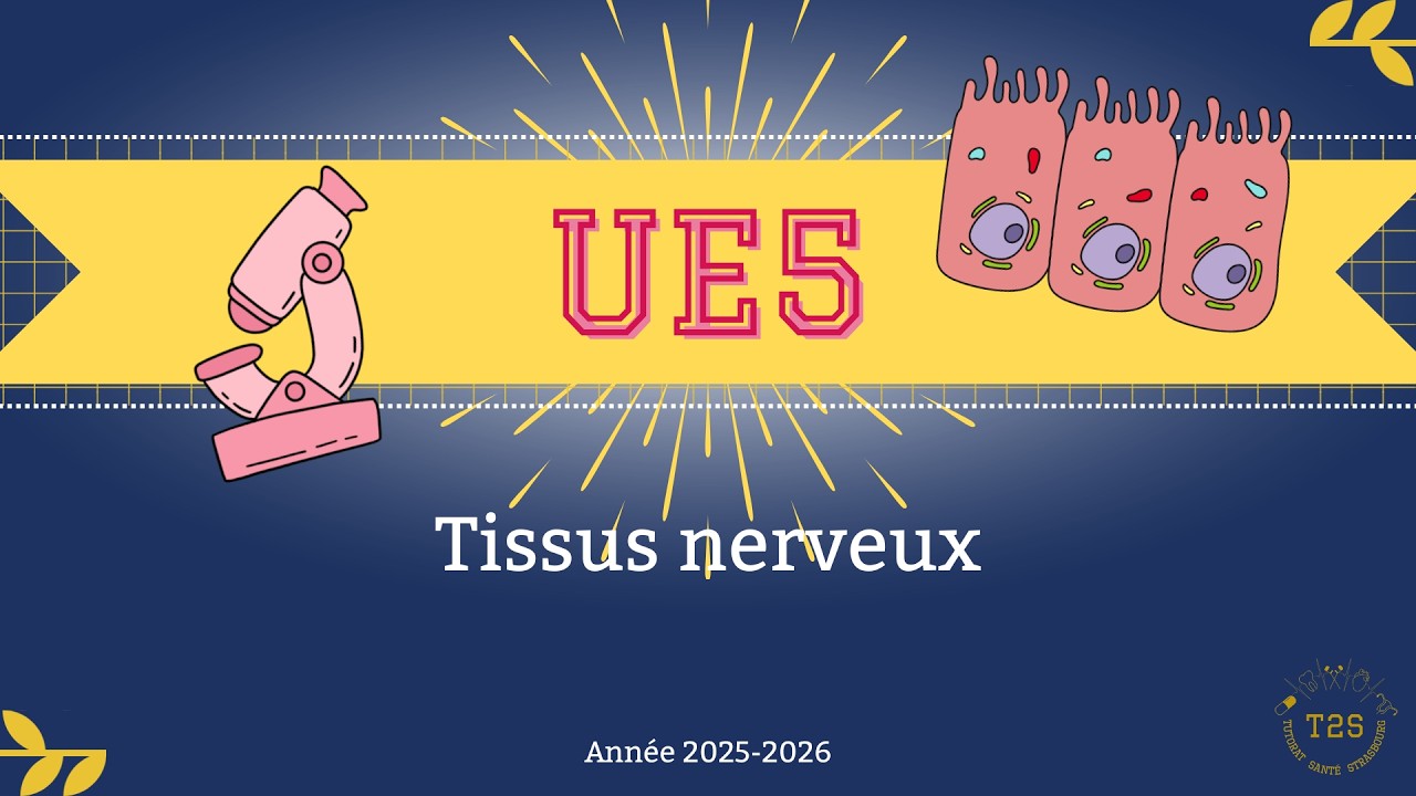 UE5 - Histologie - Tissus nerveux