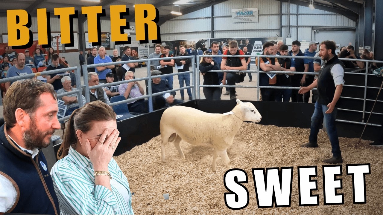 Bitter Sweet Farming