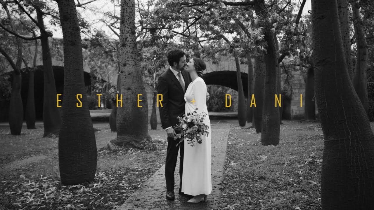 ESTHER Y DANI ( Boda en Veles e Vents, Valencia)
