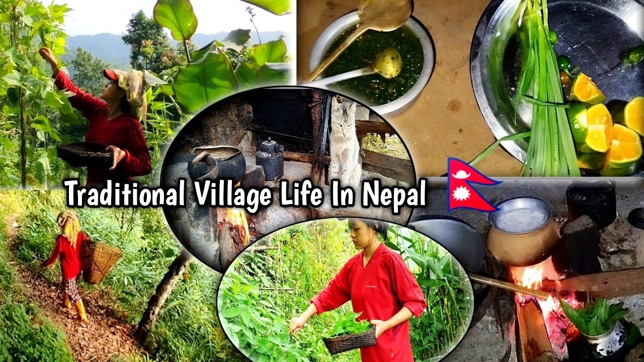 Traditional Village Life In Nepal 🇳🇵🏔️//पहाड☘️🌳@jaljalaawai 