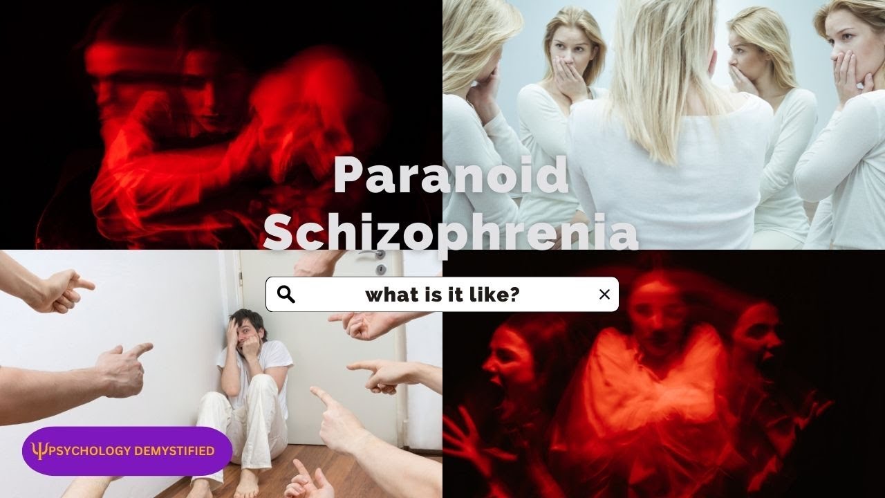 What is a person diagnosed paranoid schizophrenic like?