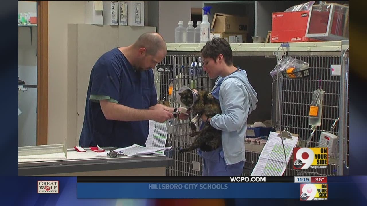 I-Team: Dog dies after grooming visit