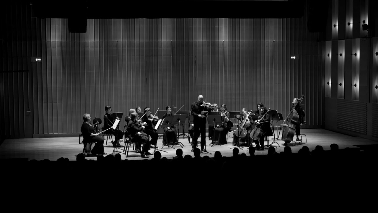 Vivaldi, Tartini, Mozart, Lapland Chamber Orchestra, Gordan Nikolić, concert in Rovaniemi, 03.25.