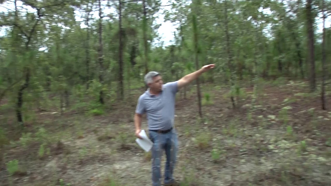 Lot 9 SW Winding Hills Rd. Dunnellon, FL. 34431 - Item - 699182