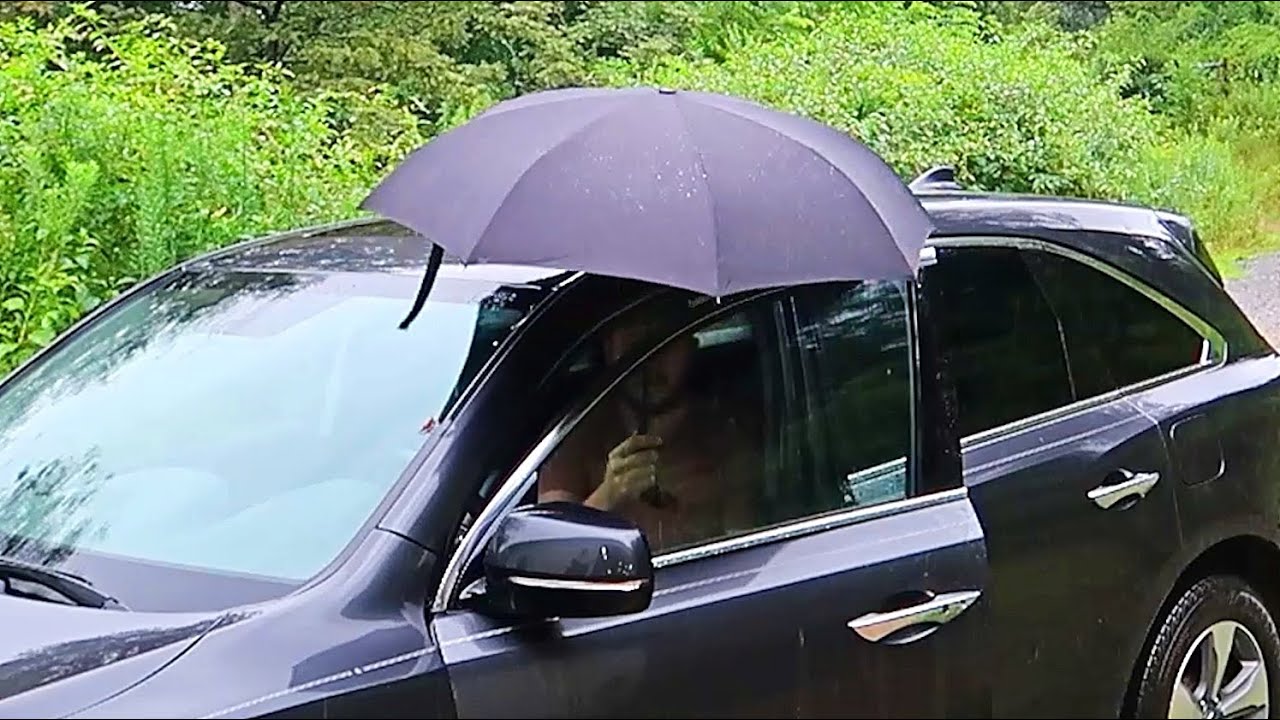 World's Best Umbrella