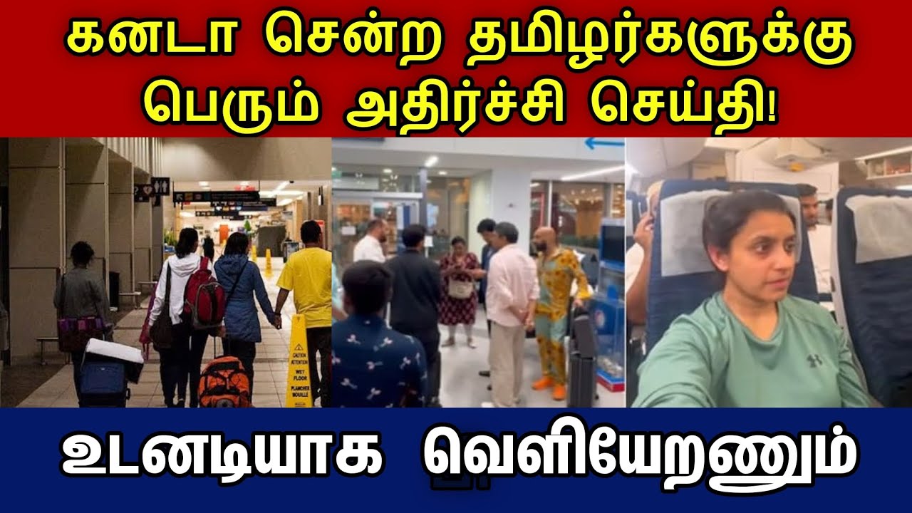கனடா சென்ற ஈழத் தமிழர்களுக்கு பெரும் சோகம் | #canada #tamilnews #visitvisa #canadavisa immigration 