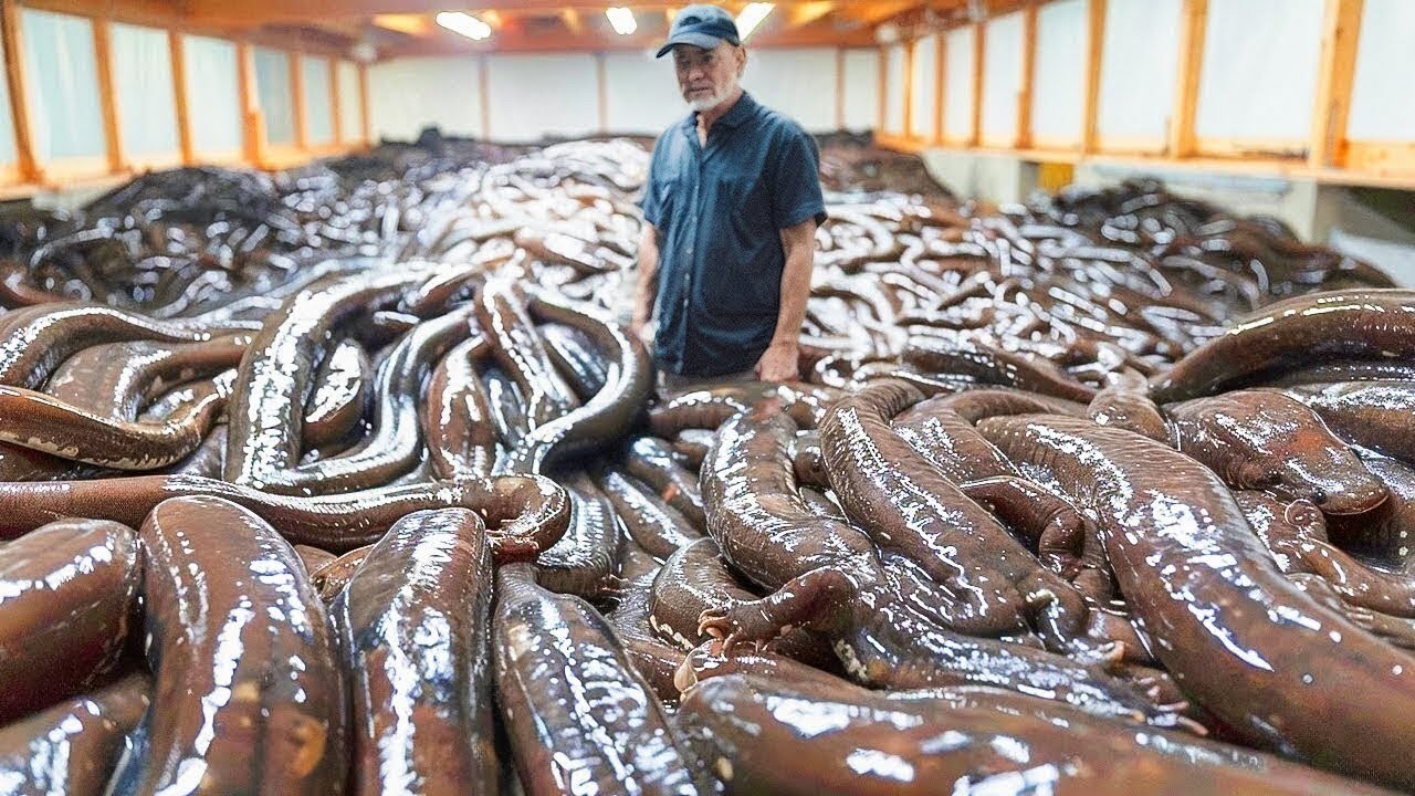 Incredible Farms You Haven't Seen Before