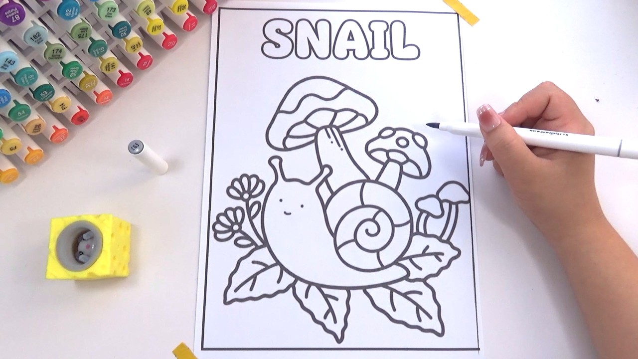 How to Color a Cute Snail and Mushrooms