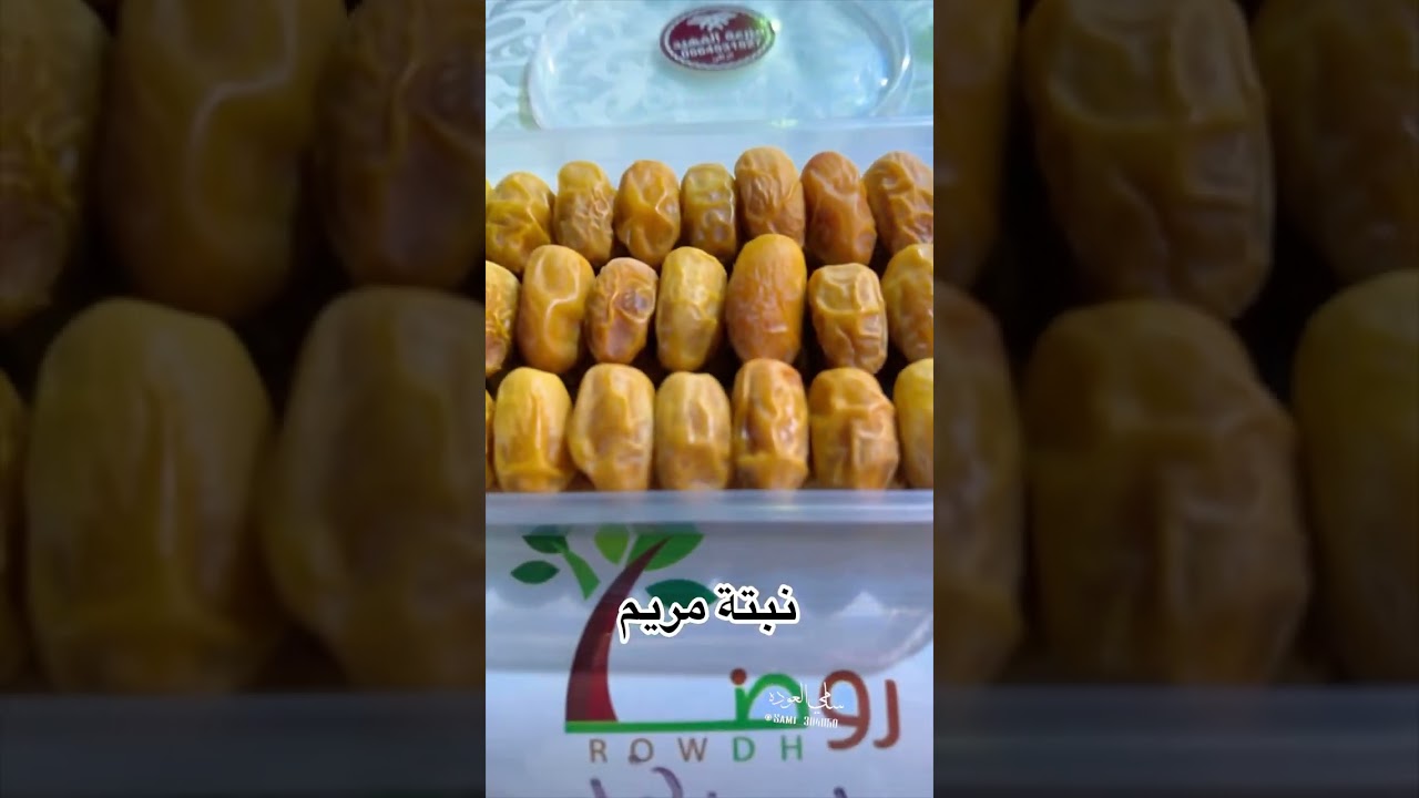 توثيق أنواع النبوت في أكبر تجمع في بريدة الراعي الرسمي  مشتل روض لنوادر التمور#القصيم #السعودية