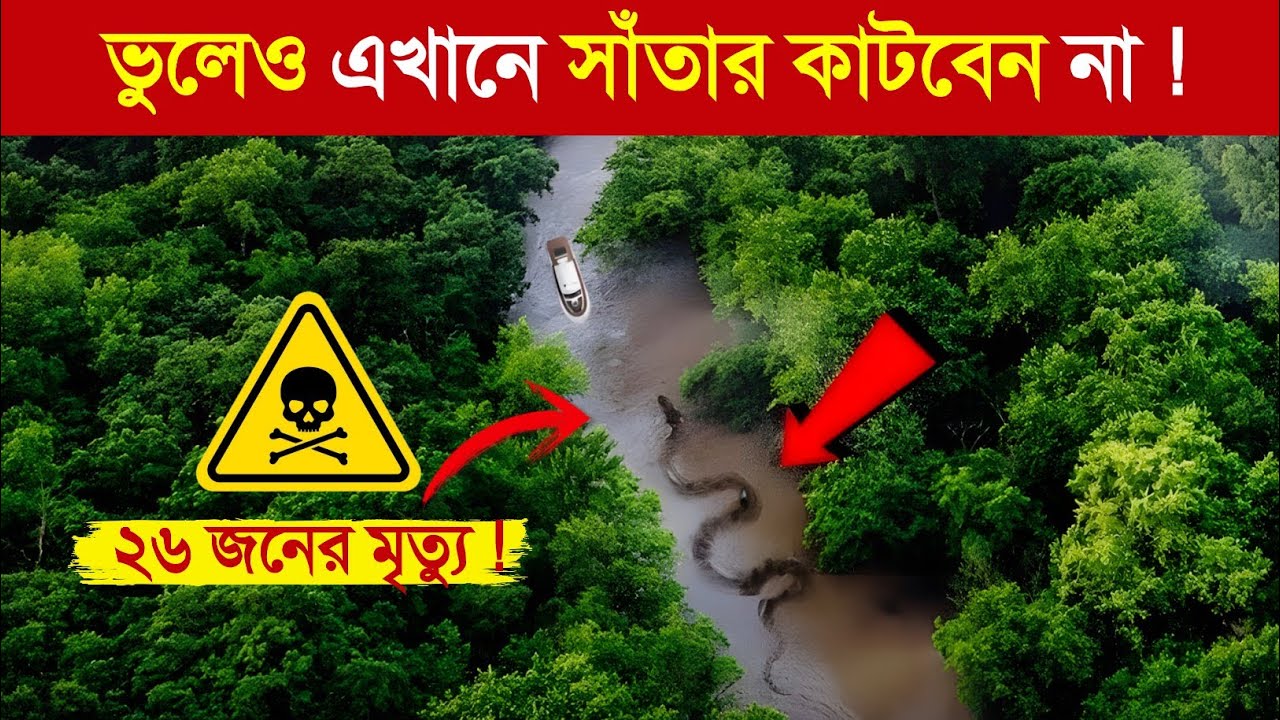 এই নদীতে ভুলেও সাঁতার কাটবেন না 😱 || Never Swim in This River in Bangla | saltwater crocodile attack