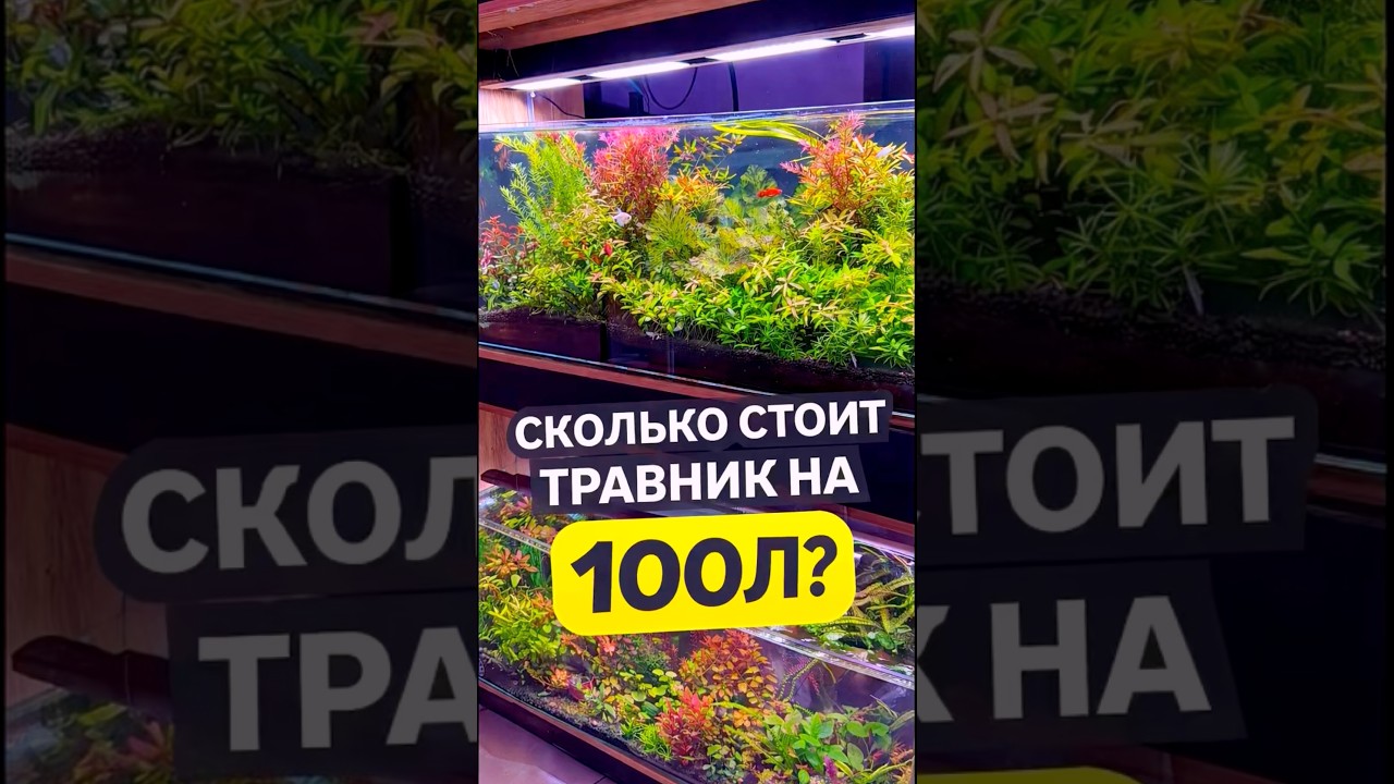 How much does a 100 liter herbalist cost?