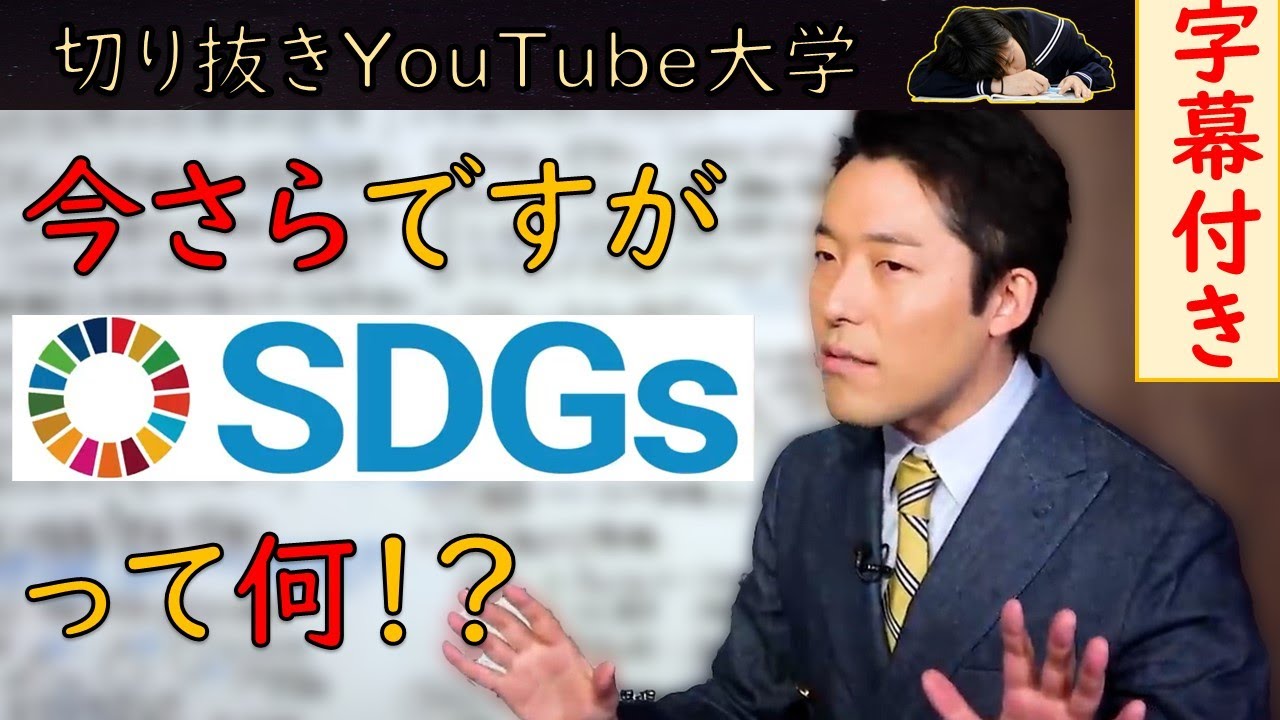 【SDGs】持続可能な開発目標ってどんな目標なのですか？【字幕付きYouTube大学切り抜き】