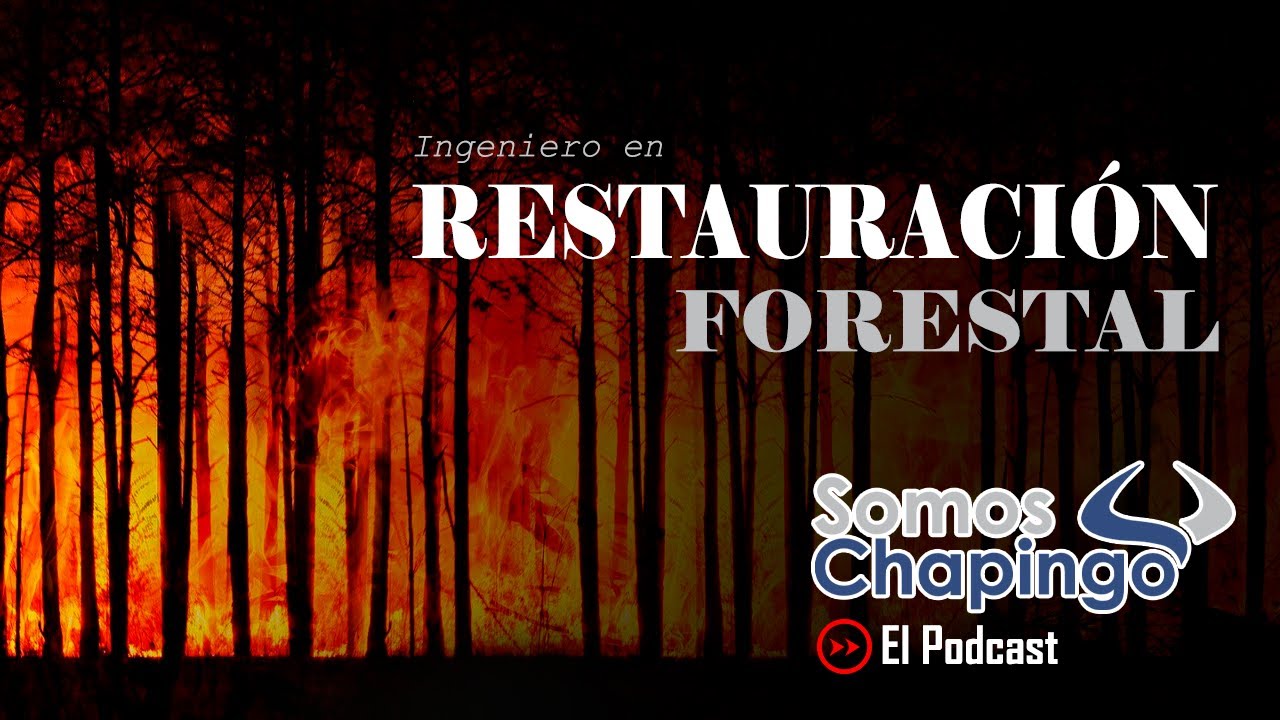 EPS.13 INGENIERÍA EN RESTAURACIÓN FORESTAL- UNIVERSIDAD AUTÓNOMA CHAPINGO.