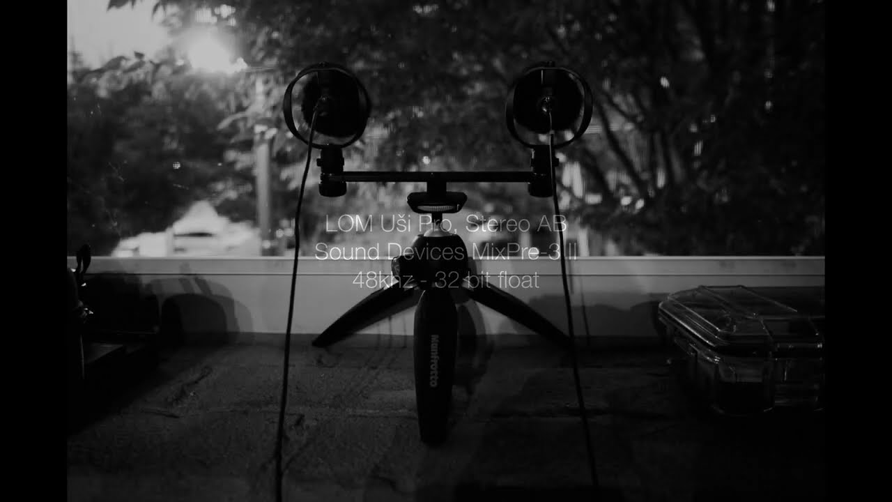 Evening Chorus | Field Recording | LOM U&scaron;i Pro | MixPre-3 II