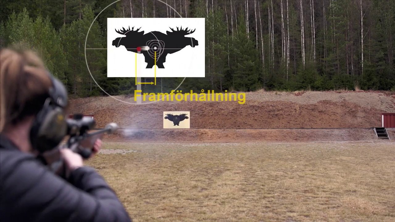 Tr&auml;ffa r&auml;tt p&aring; &auml;lgbanan