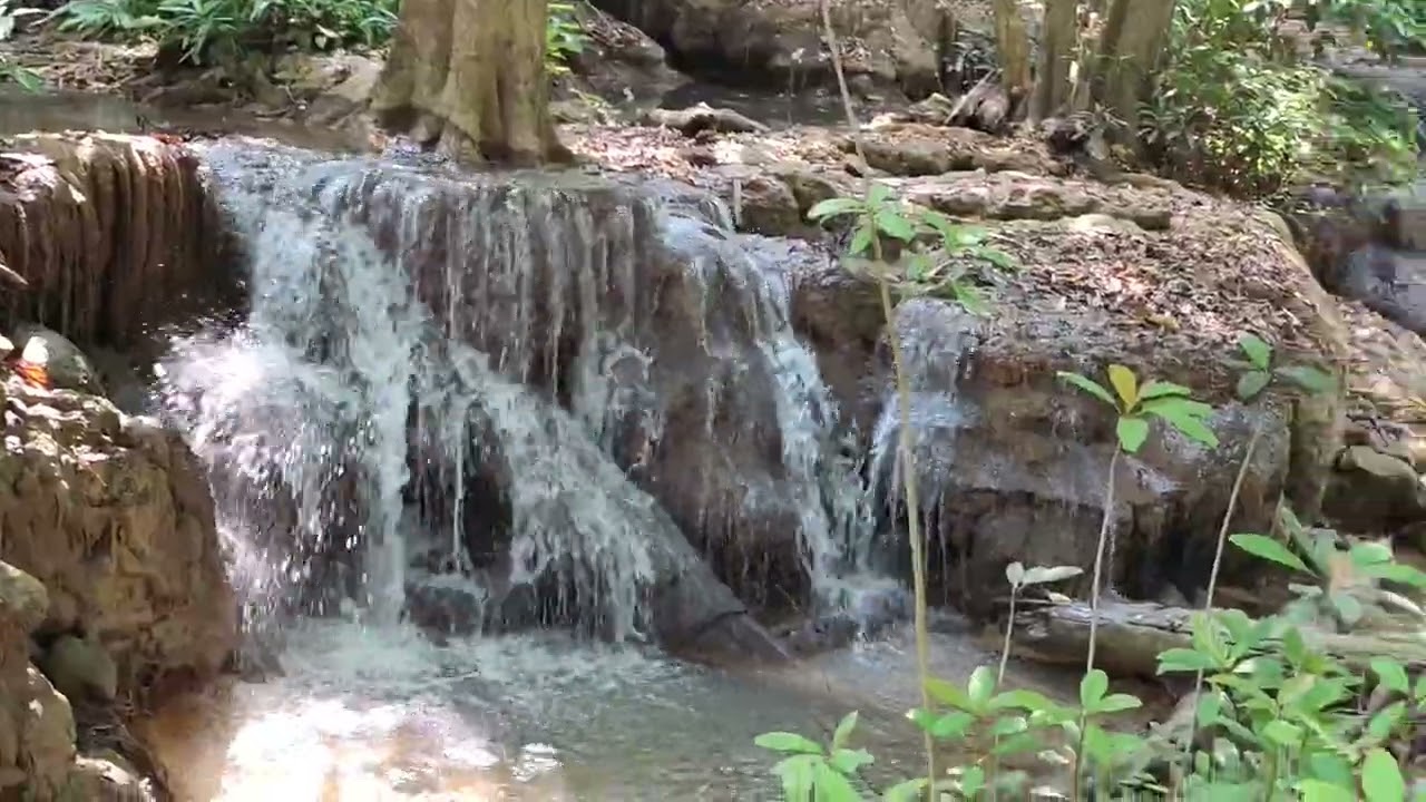 น้ำตก