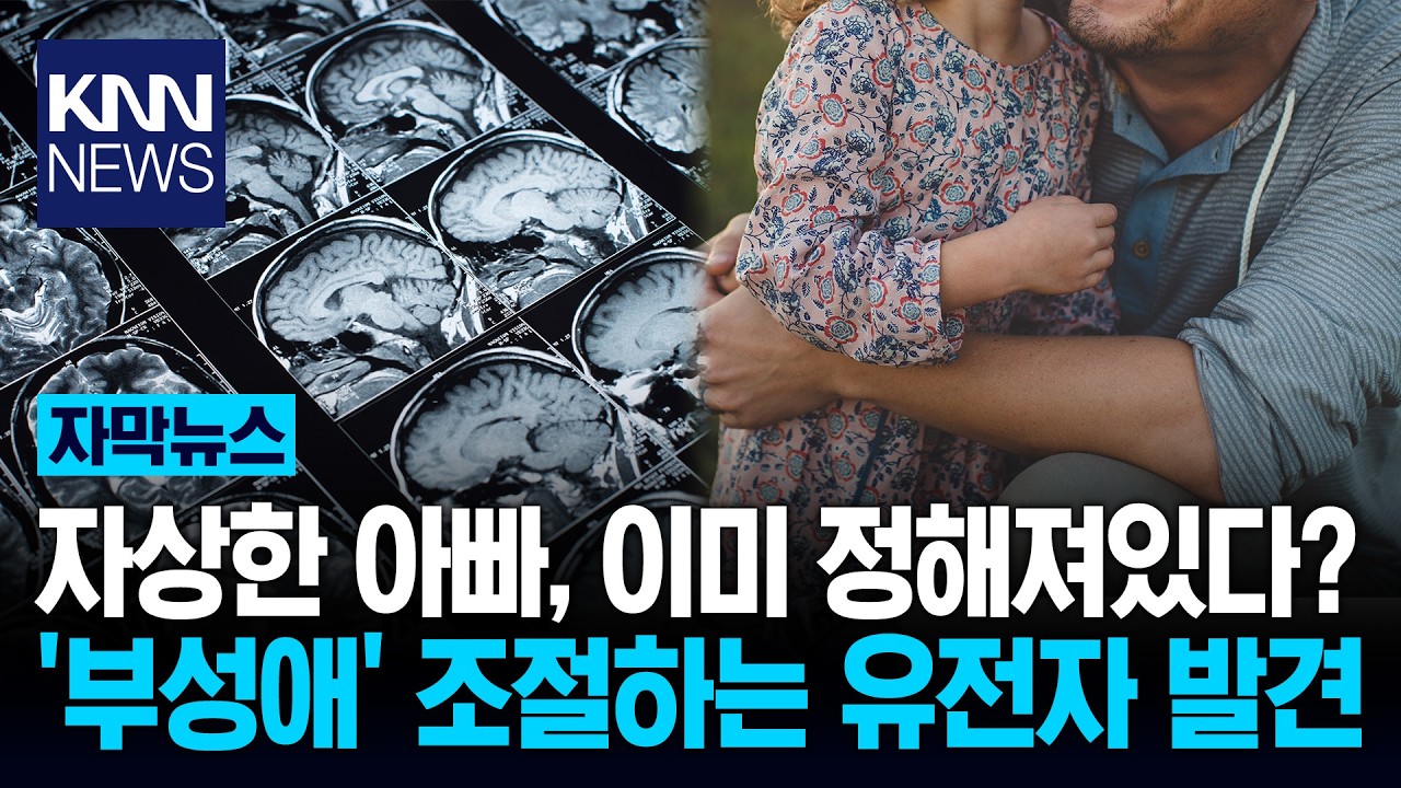 '자상한 아빠' 태생부터 정해져? 뇌 속 '이 유전자' 수치 높았다 / KNN