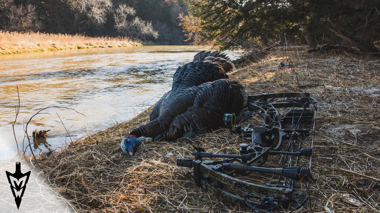 Perfect Shot Turkey Hunting With The Bow, Epic Adventure In Nebraska #hunting #turkeyhunting