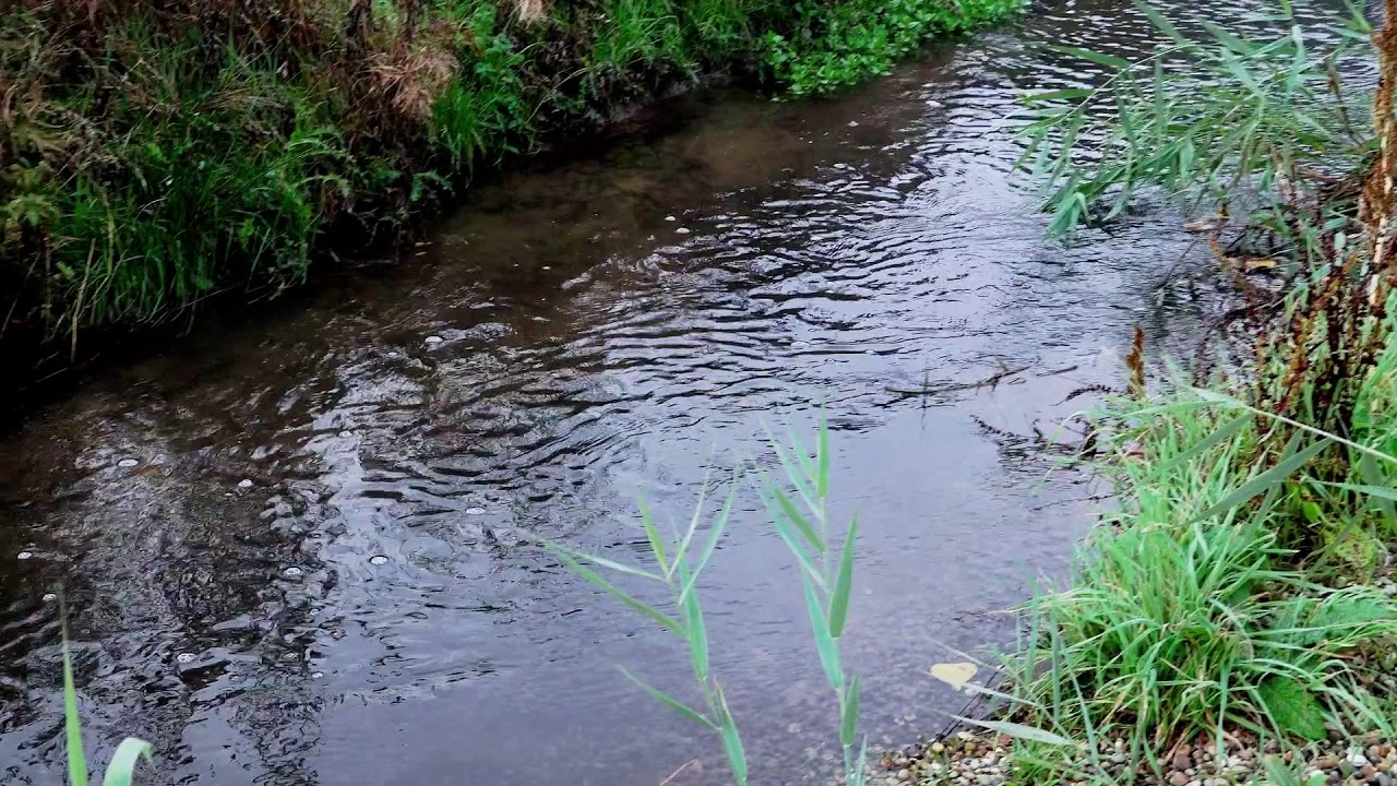 Die Eisbach bei Eisenberg in der Pfalz
