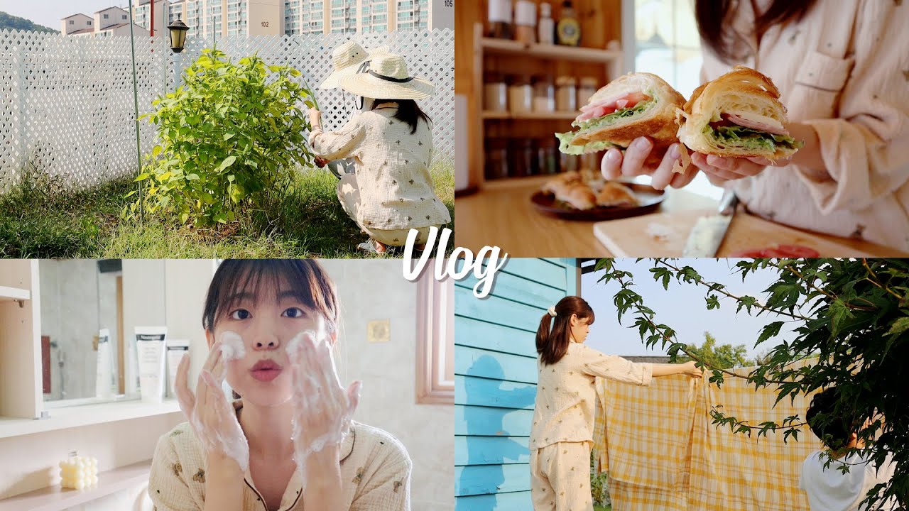 (SUB) 전원주택에서 맞이한 첫 가을VLOG 🍂 환경을 위한 작은 노력을 담은 하루 (feat. 도영X 뉴트로지나 올리브영 소셜마켓)