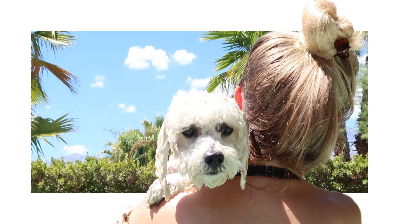 PUPS FIRST SWIM! | iJustine