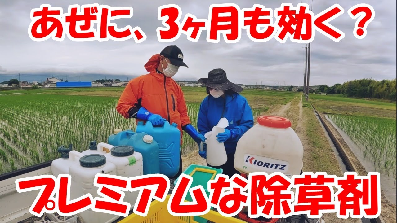 【除草剤】3ヶ月効く、プレミアムな除草剤 ザクサ＋カーメックス 20250531　田んぼ・2025