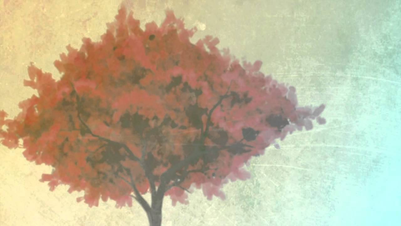Envoi - What Happened in Wyoming (Official Lyric Video)