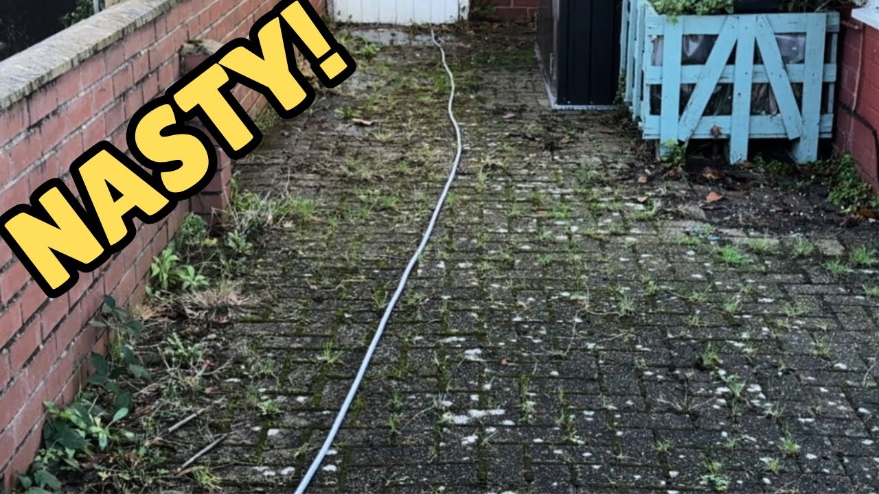 The Filthiest Driveway I've Ever Pressure Washed!