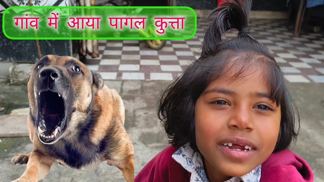 गांव में आया पागल कुत्ता 😢