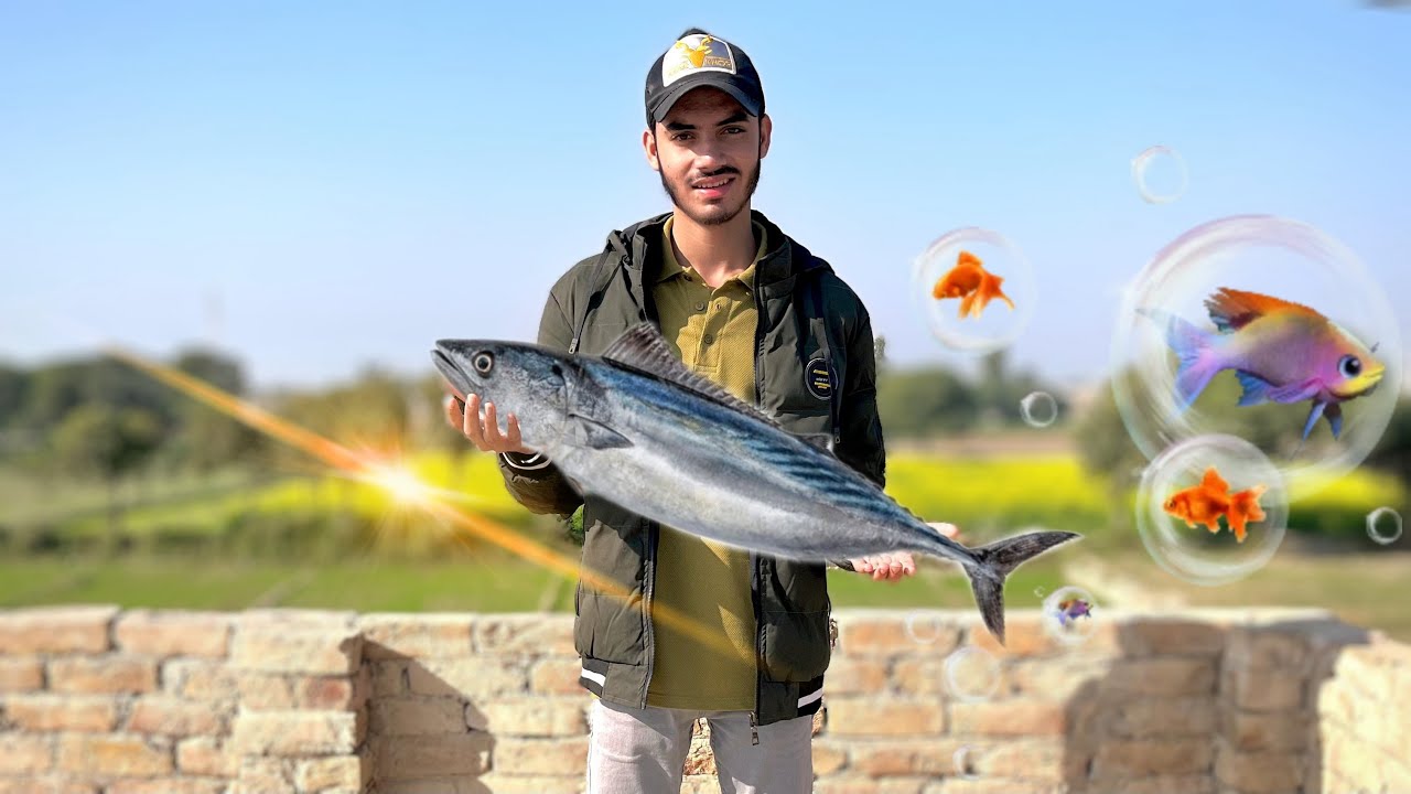 Cooking big Fish 🐟 in dihat