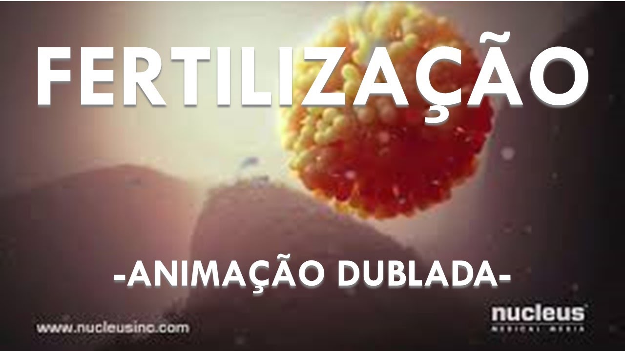 FERTILIZA&Ccedil;&Atilde;O / FECUNDA&Ccedil;&Atilde;O - Anima&ccedil;&atilde;o Dublada