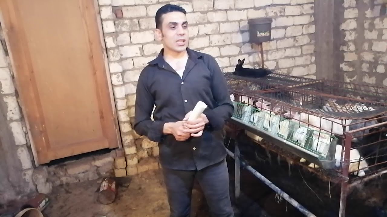 جدول المياه الشهرى فى الصيف للارانب وجدول العلف فى الصيف(32)