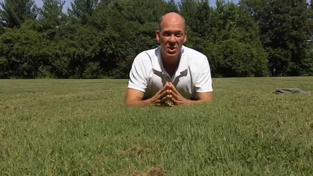 The Key To Fixing Forward Head Posture (from the ground up)