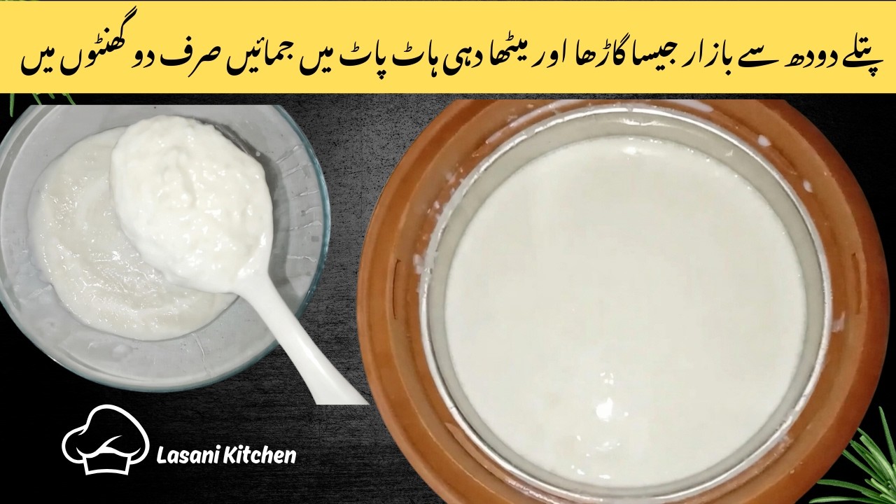 How to make Yogurt in HotPot | Quick & Easy Homemade Yogurt by Lasani Kitchen