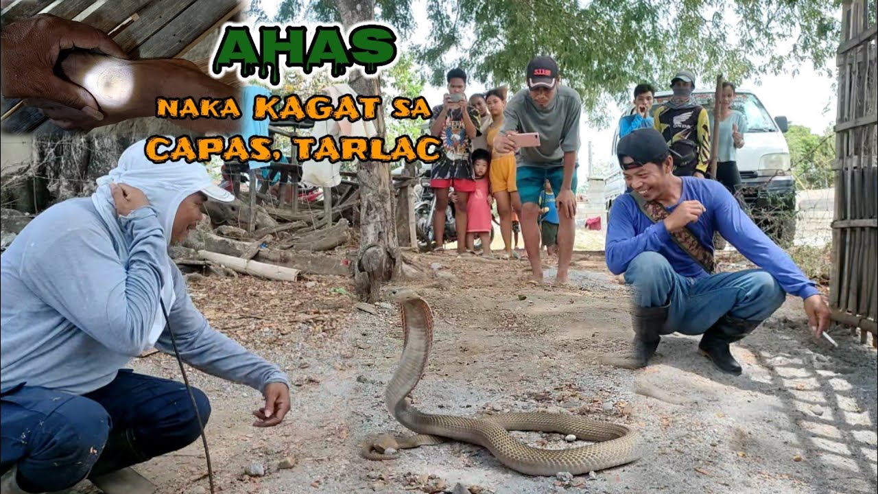 AHAS naka KAGAT sa CAPAS TARLAC | Huli kina ZUMA at REX TUKLAW ang COBRA